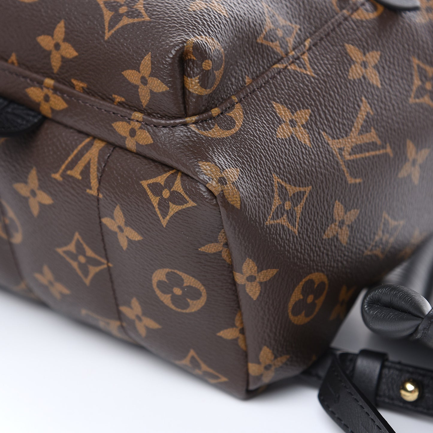 Monogram Palm Springs Backpack PM