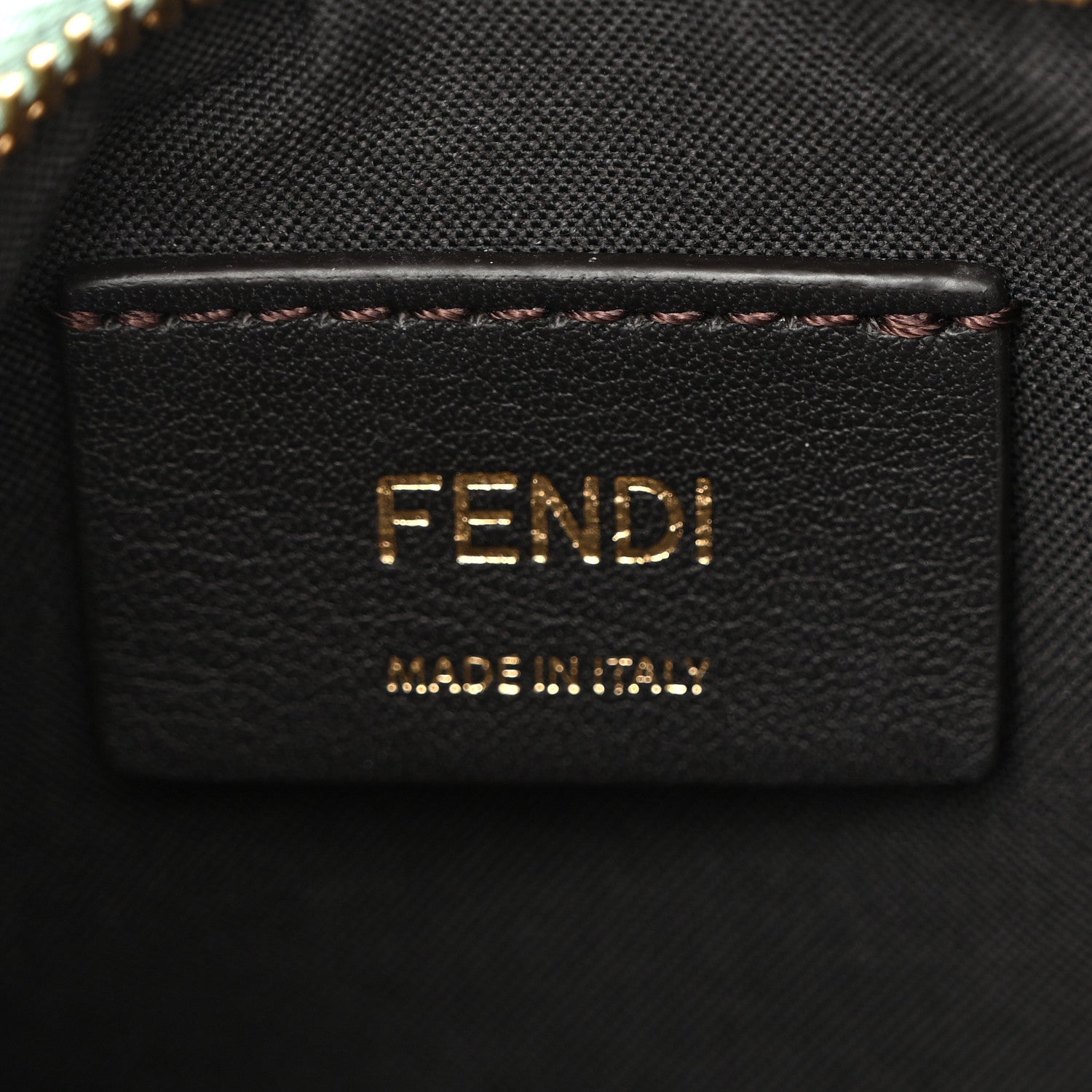 Fendi Vitello Grace Matte Small Fendigraphy Hobo Bag Menta 6 of 10