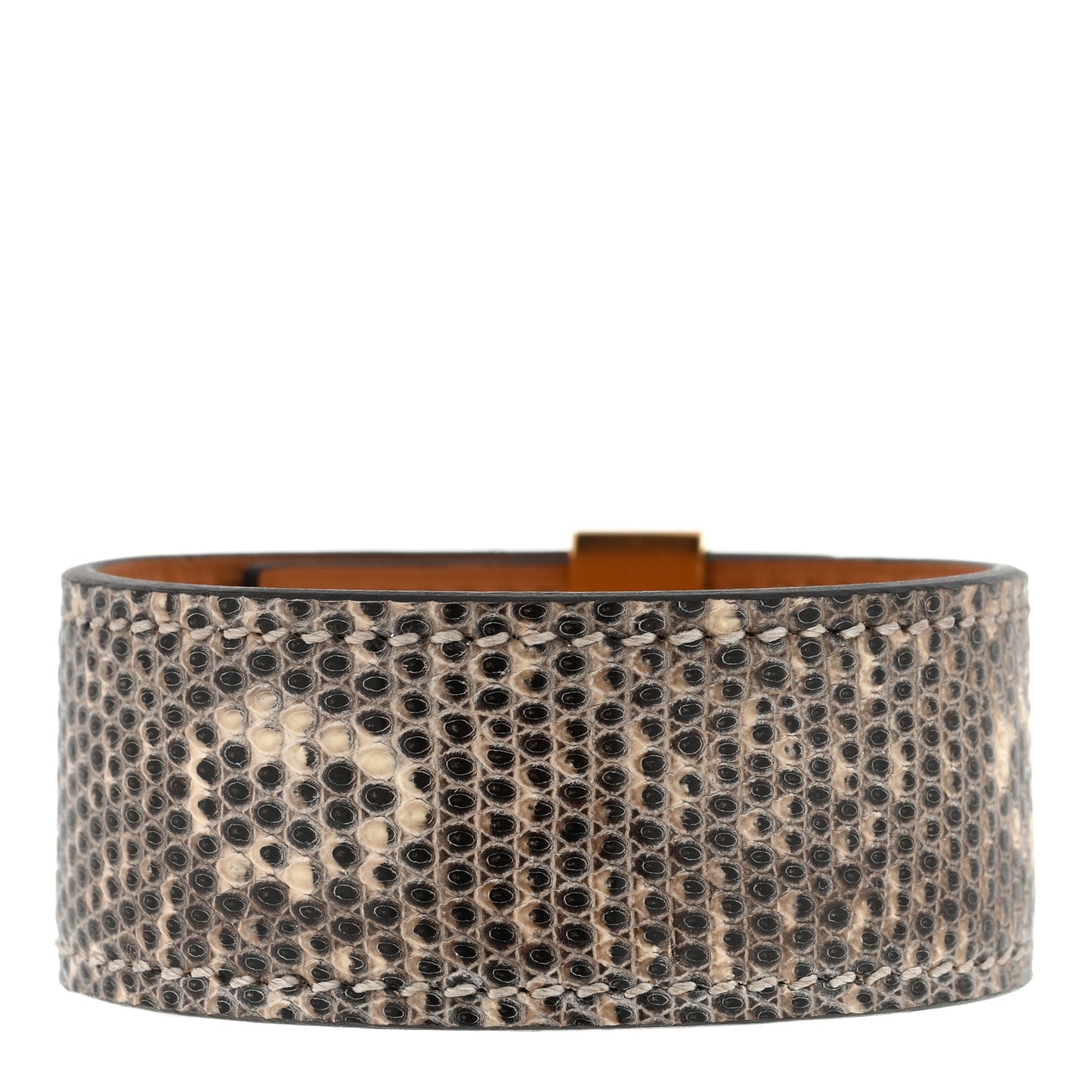 Lizard Collier de Chien CDC 24 Bracelet Ombre