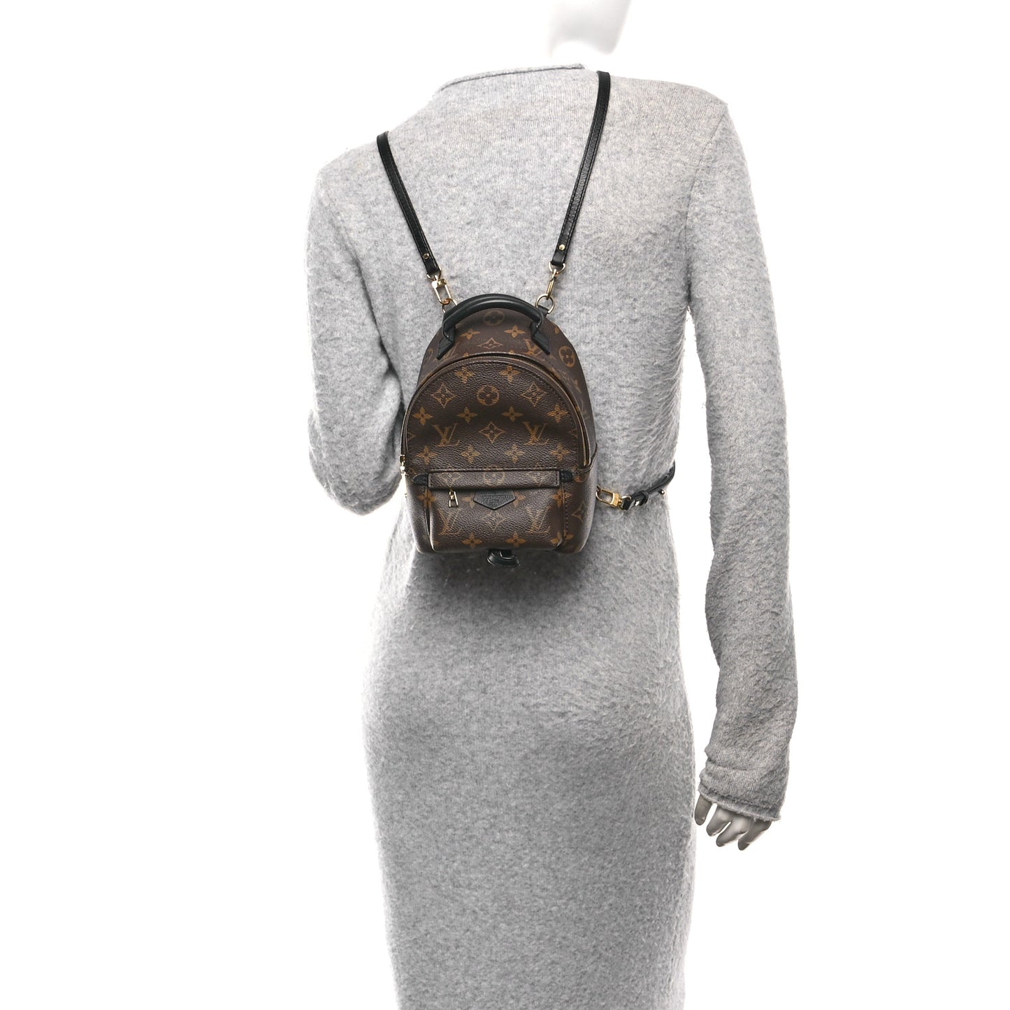 Monogram Palm Springs Backpack Mini