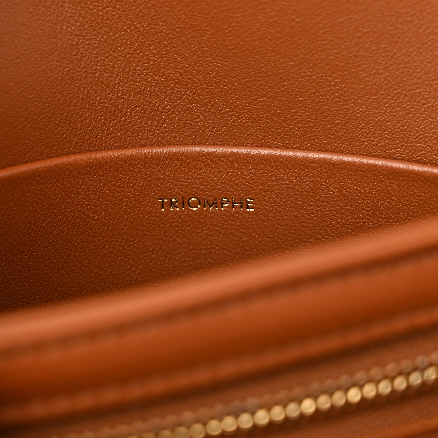 Calfskin Triomphe Canvas Teen Triomphe Bag Tan