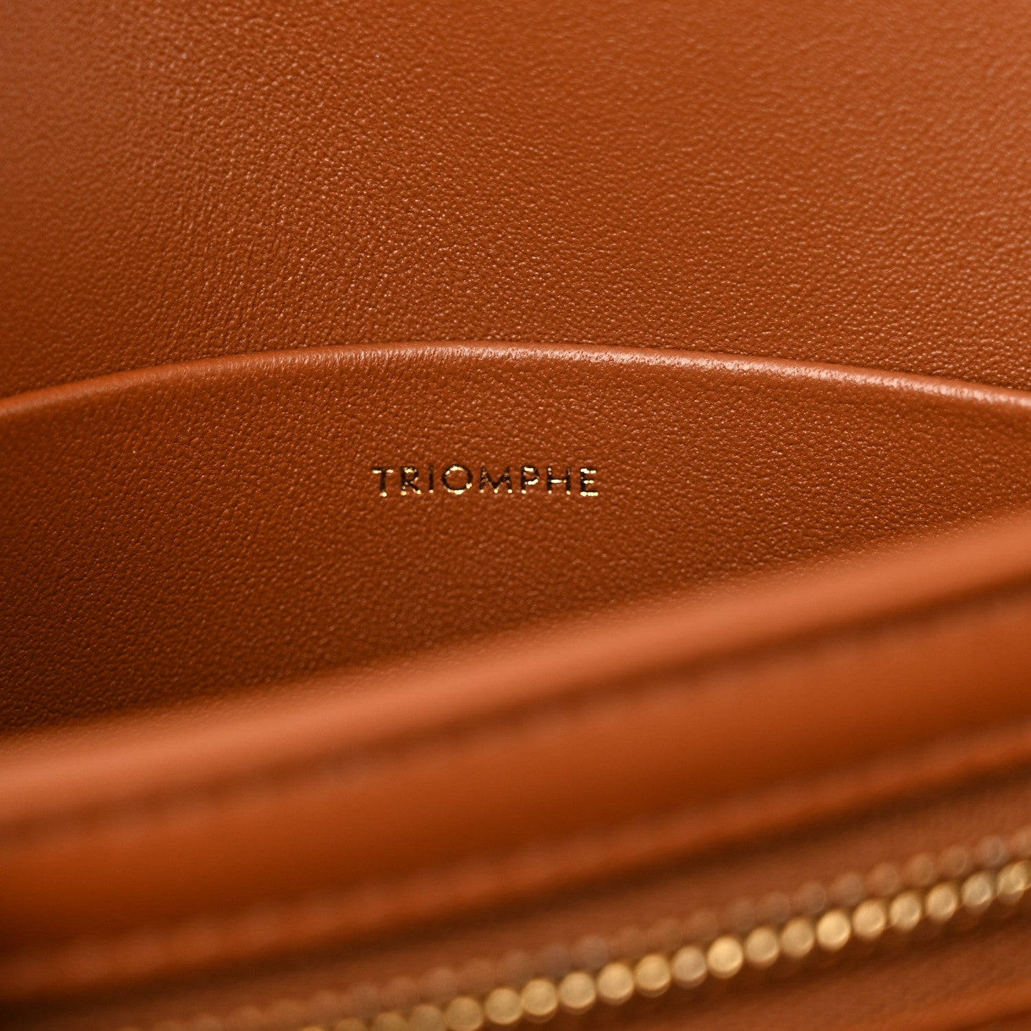 Celine Calfskin Triomphe Canvas Teen Triomphe Bag Tan 6 of 10