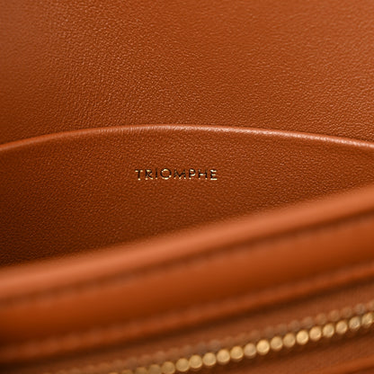 Celine Calfskin Triomphe Canvas Teen Triomphe Bag Tan 6 of 10