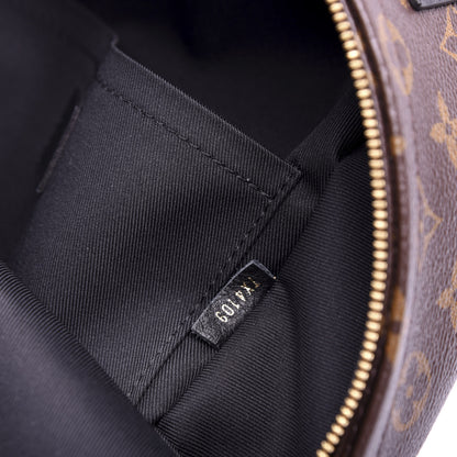 Louis Vuitton Monogram Palm Springs Backpack PM 6 of 11
