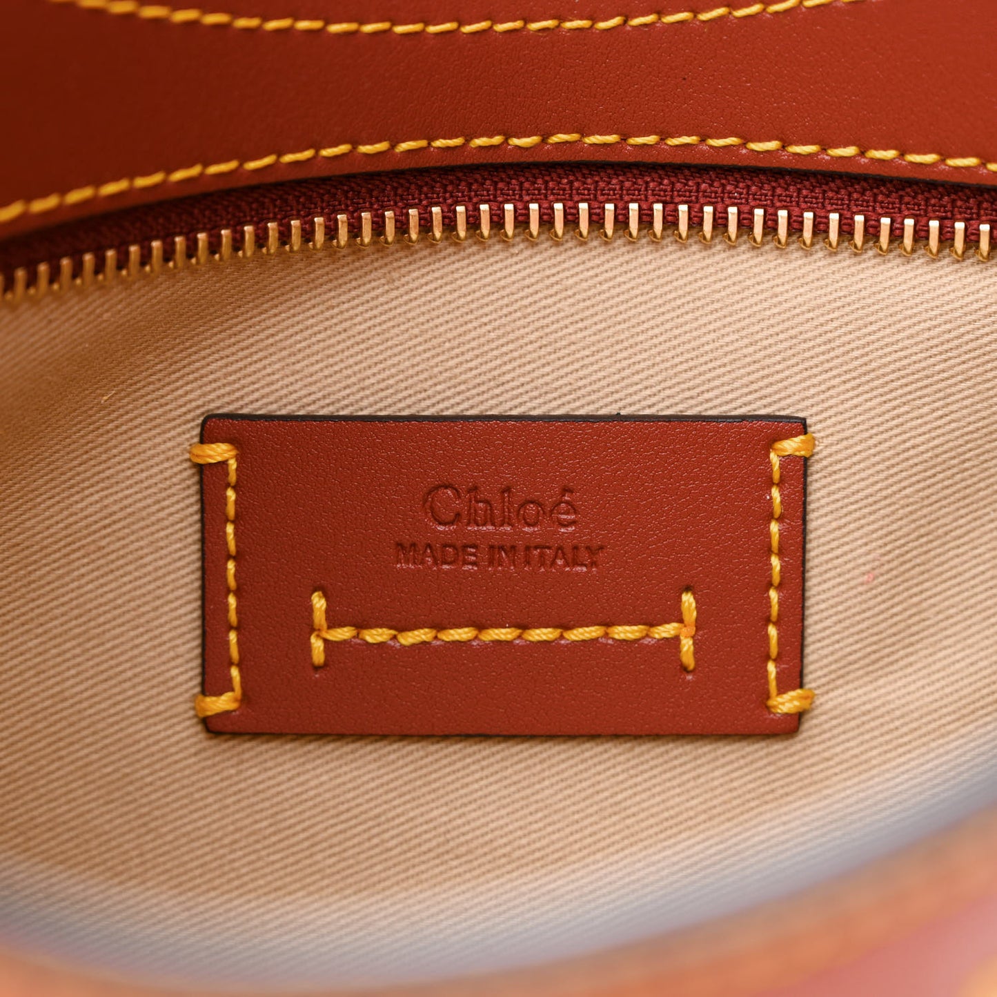 Calfskin Raffia Embroidered Small Darryl Hobo Brown