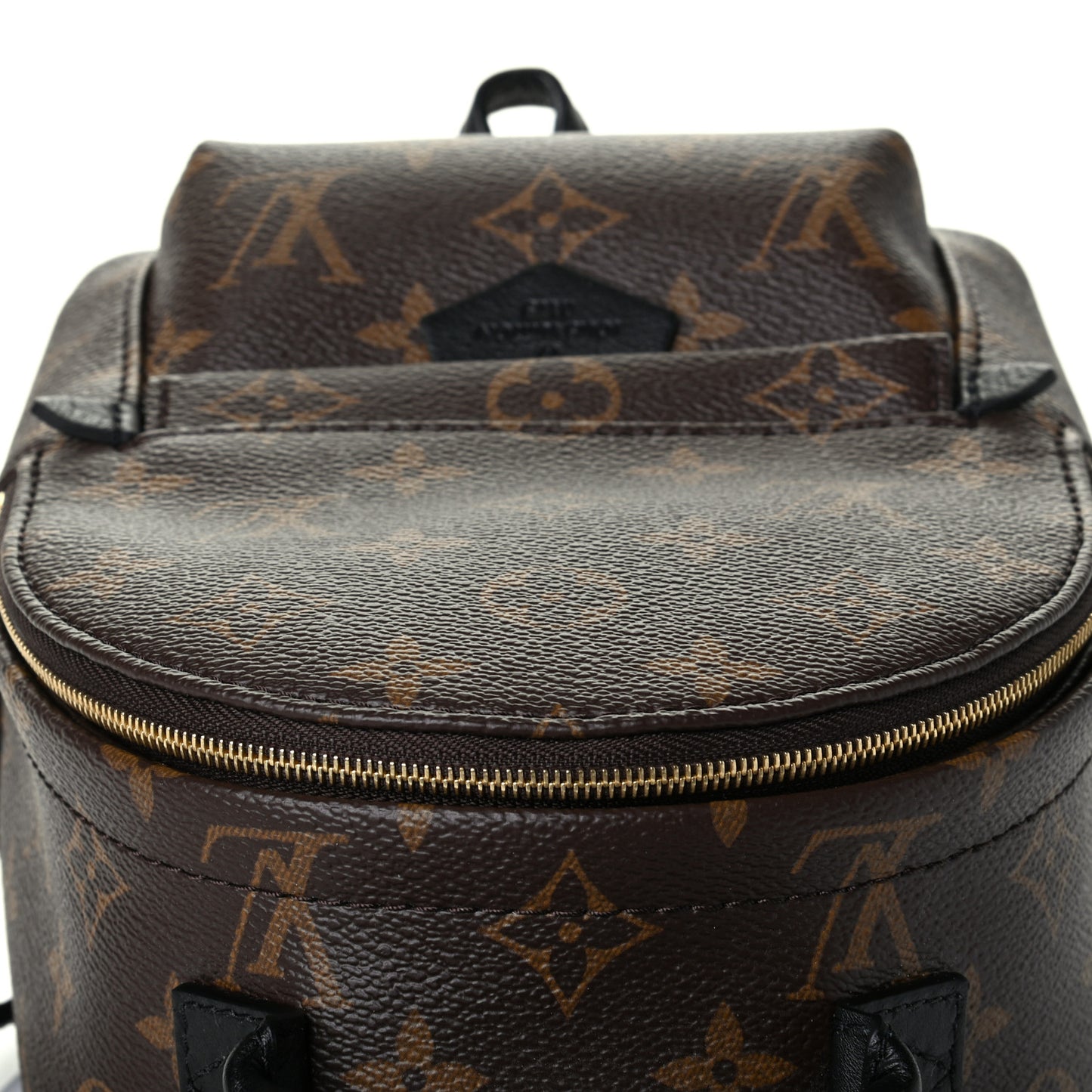 Monogram Palm Springs Backpack Mini