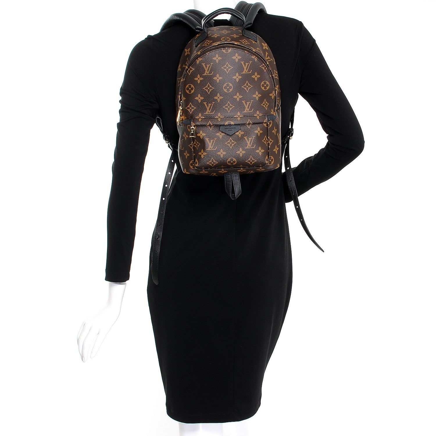 Louis Vuitton Monogram Palm Springs Backpack PM 2 of 9