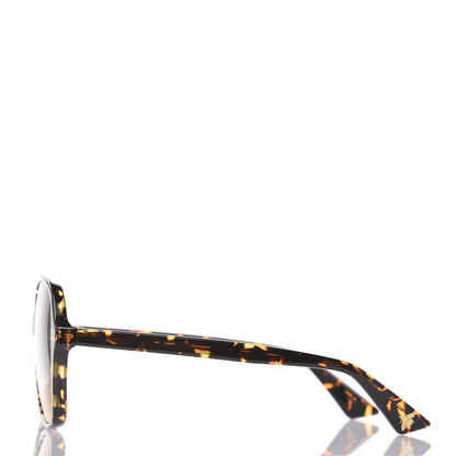 Gucci Acetate Rounded Square GG0092S Sunglasses Havana 2 of 6