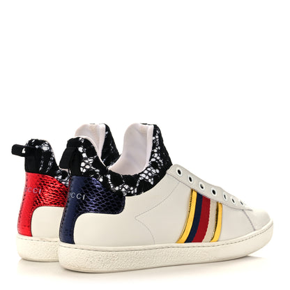 Gucci Calfskin Lace Ayers Sylvie Web New Womens Ace High Top Sneakers 37 White 4 of 10