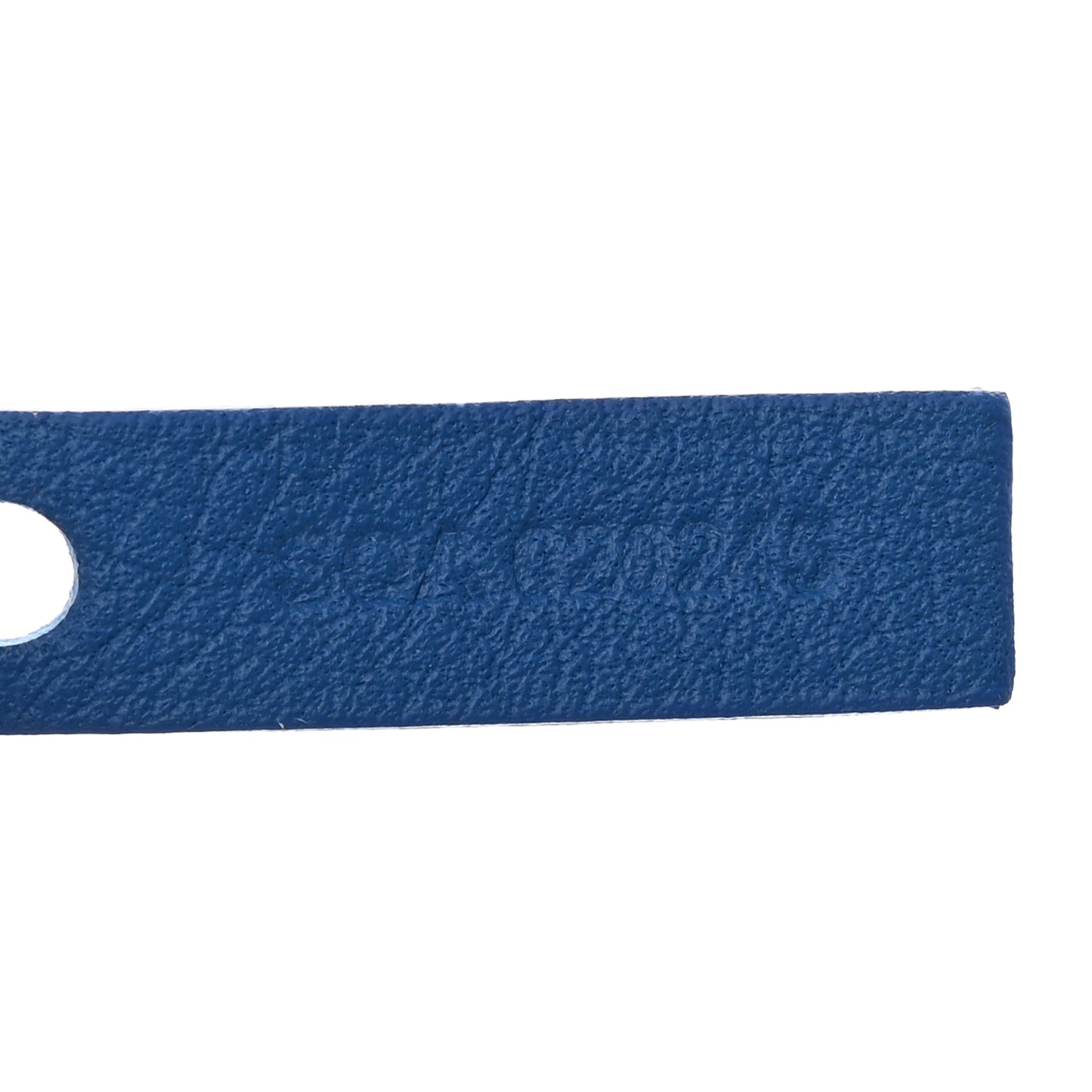 Goyardine Reversible Mini Anjou Sky Blue