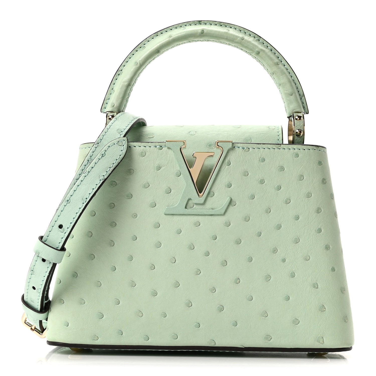 Louis Vuitton Ostrich Capucines Mini Vert Celadon 1 of 10