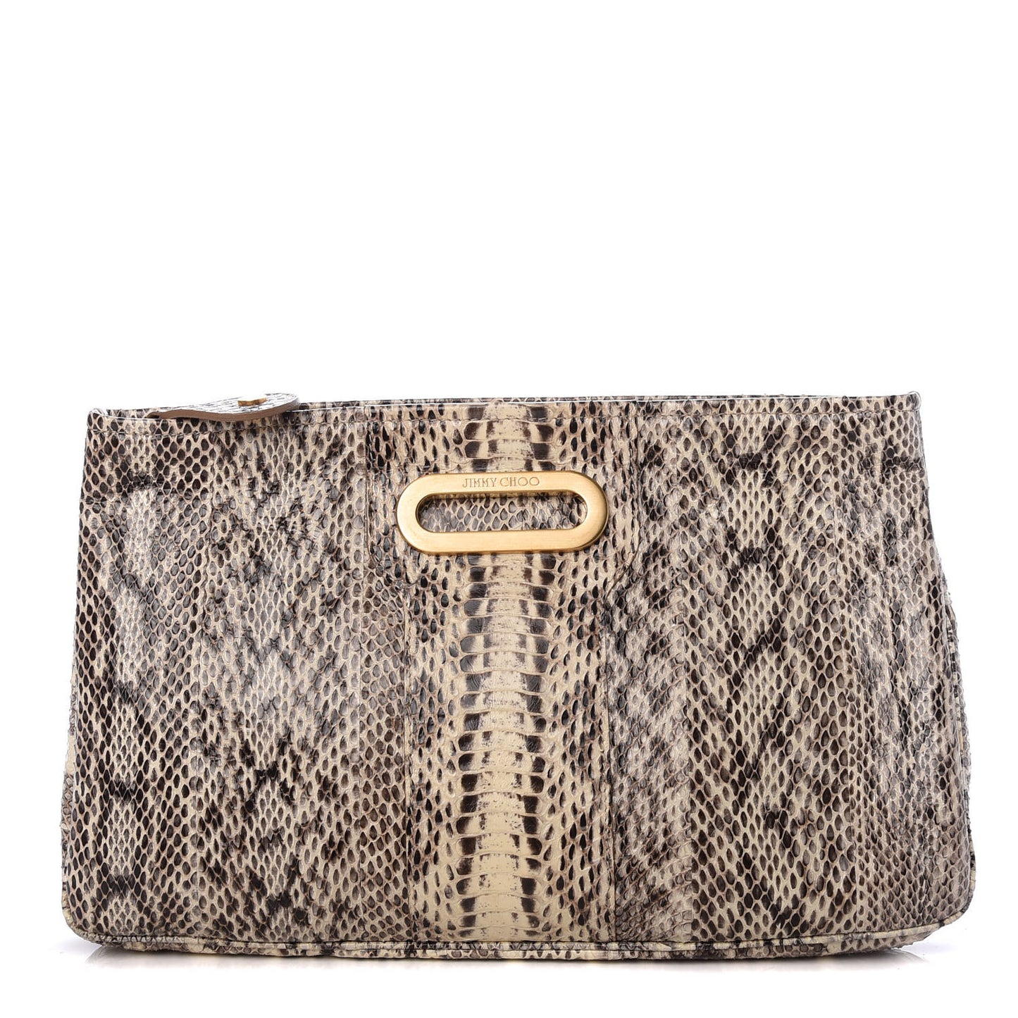 Snakeskin Clutch