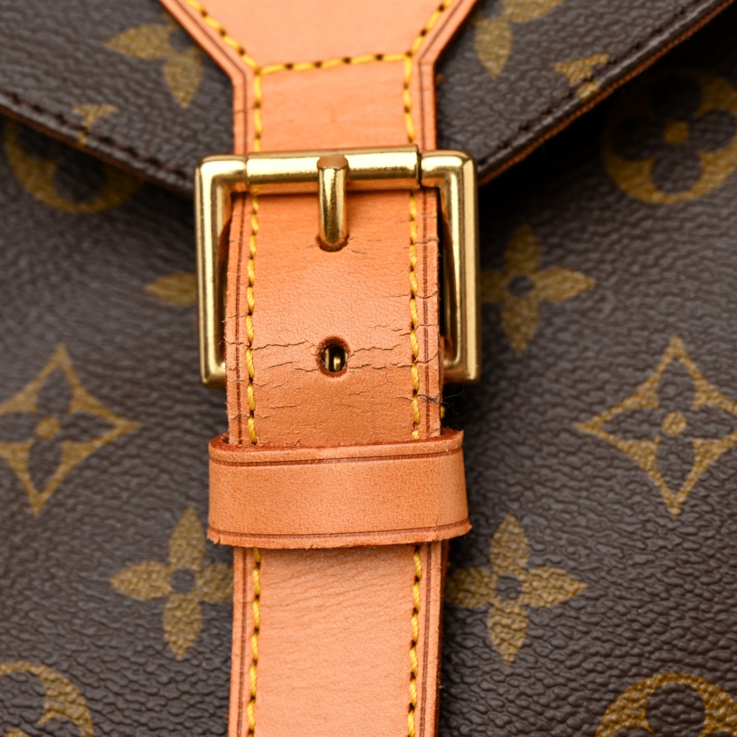 Monogram Montsouris GM Backpack