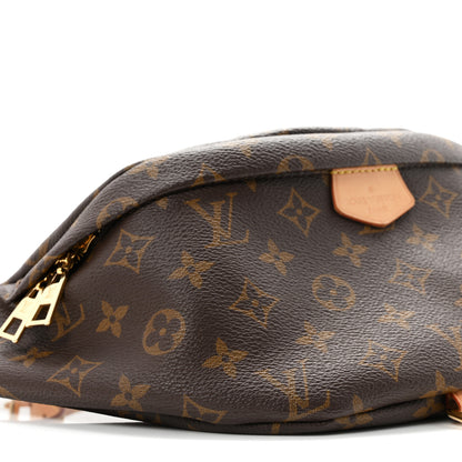 Louis Vuitton Monogram Bumbag 9 of 11