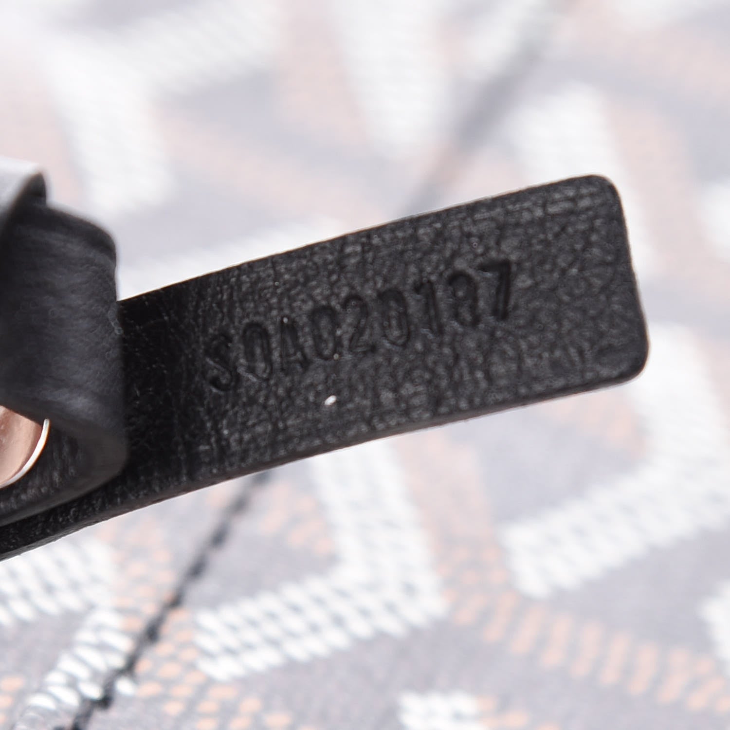 Goyard Goyardine Saint Louis PM Black 9 of 9