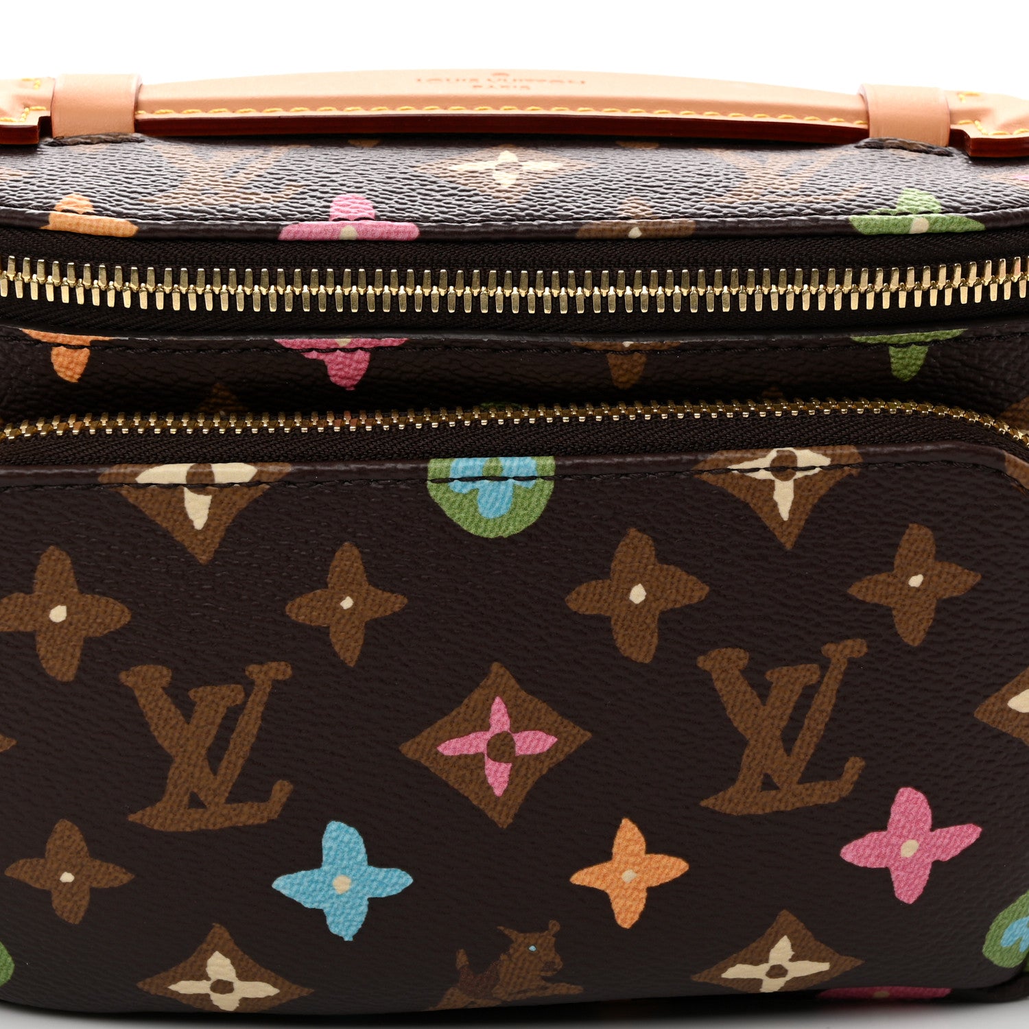 Louis Vuitton X TYLER THE CREATOR Monogram Craggy Rush Bumbag 7 of 9