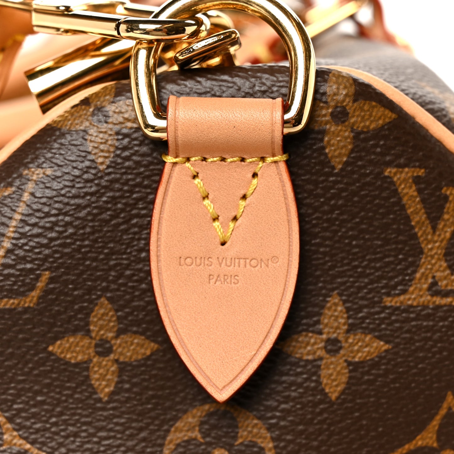 Monogram Speedy Soft Crafty 30