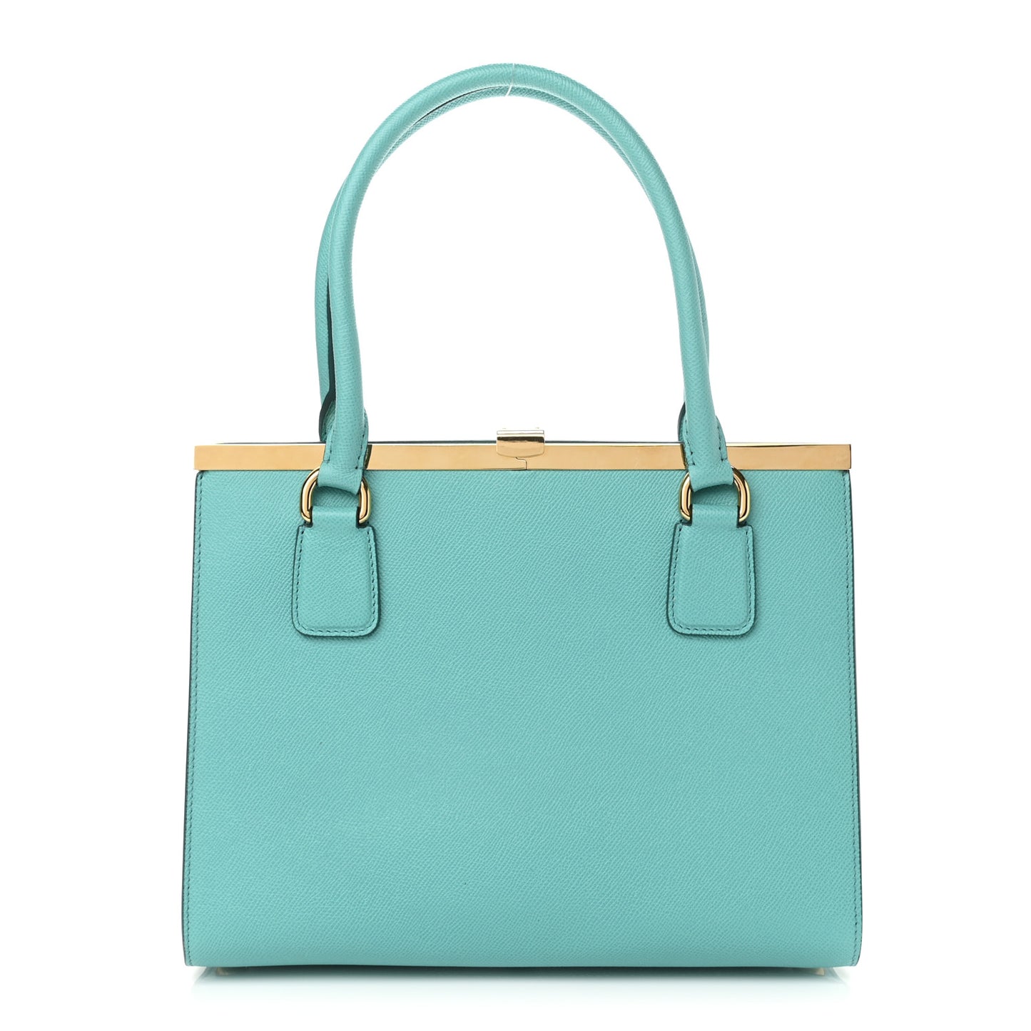 Dauphine Medium Frame Tote