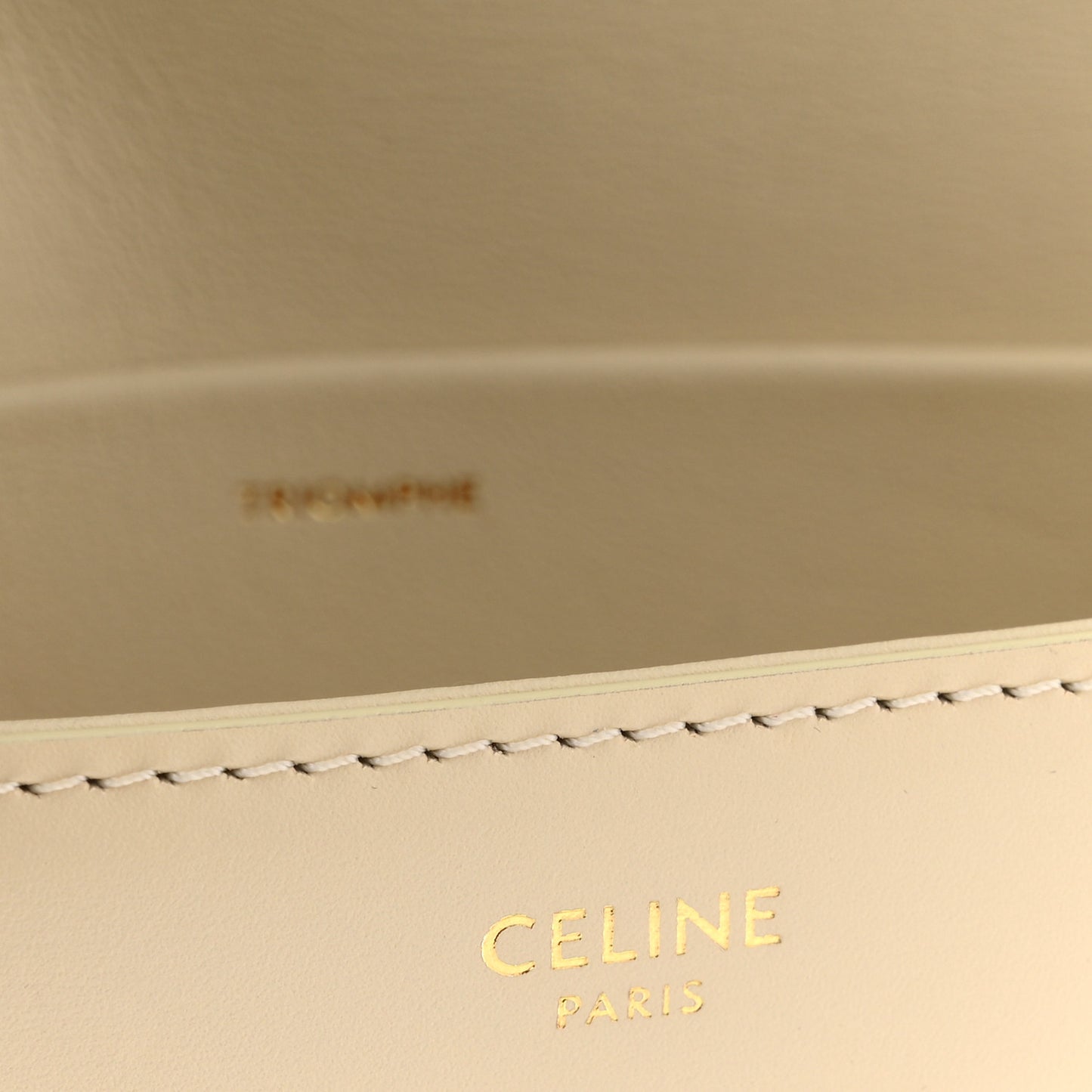 Shiny Calfskin Nano Triomphe Nude