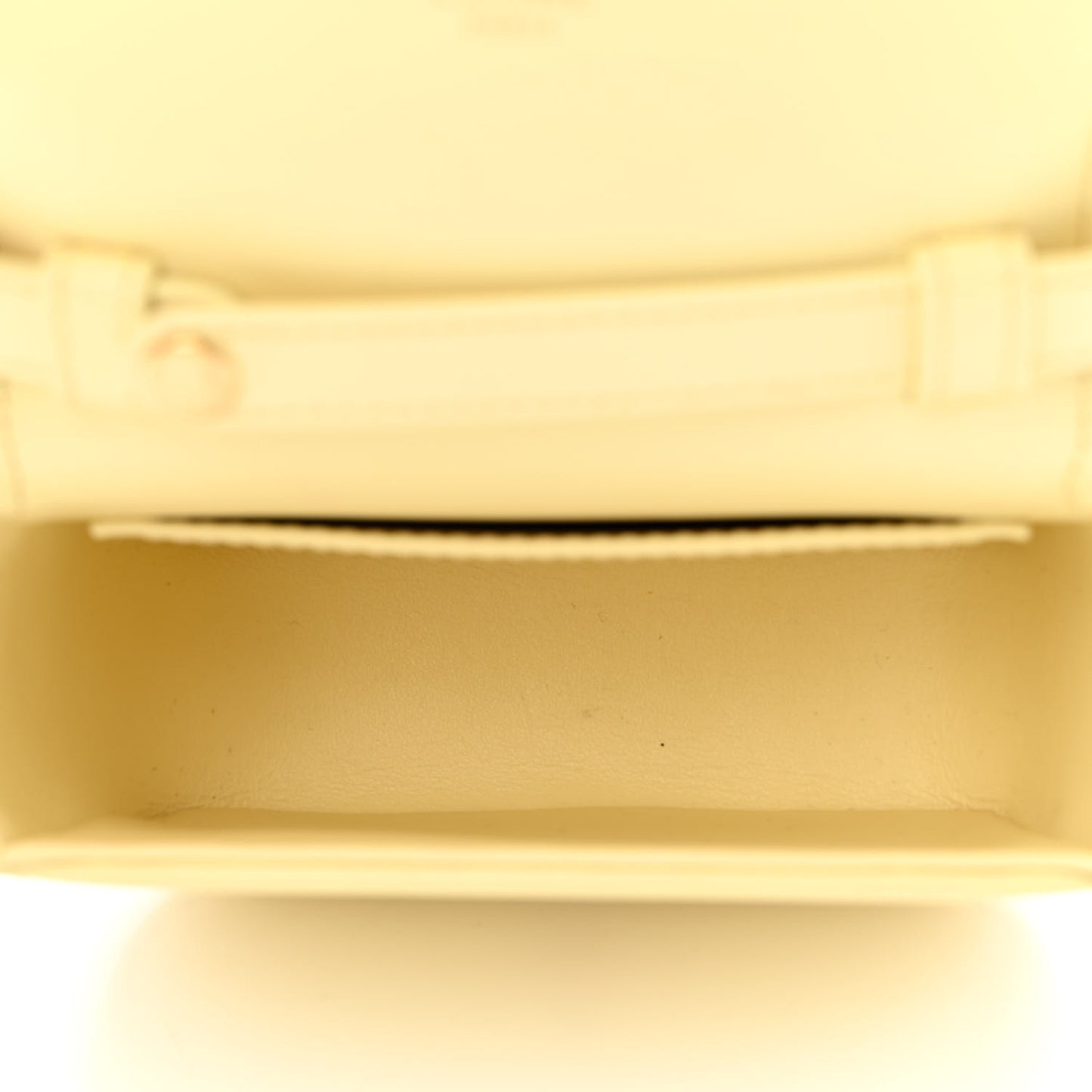 Shiny Calfskin Mini Triomphe Pollen