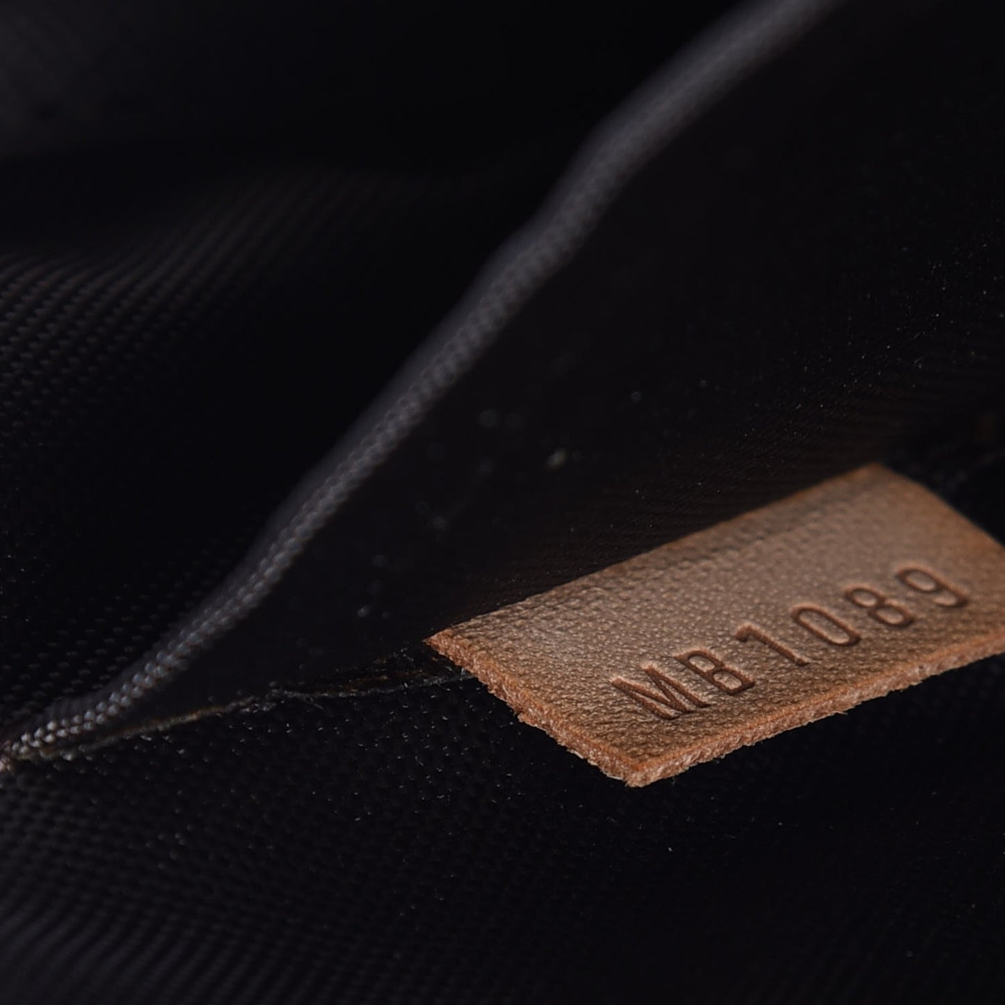 Monogram Pegase 55 Business