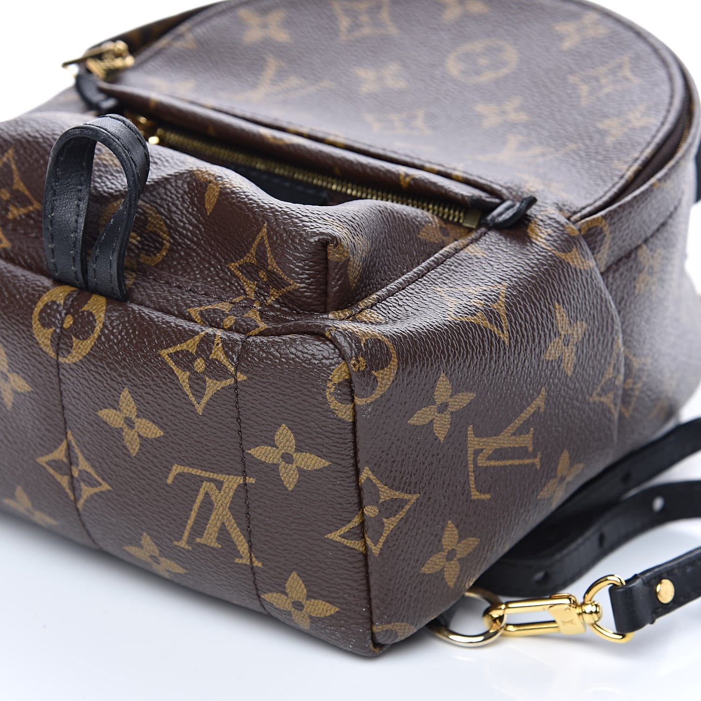 Monogram Palm Springs Backpack Mini