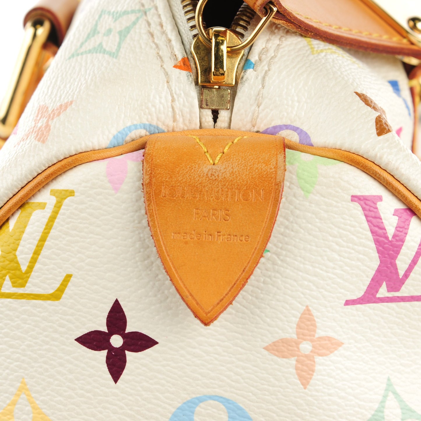 Monogram Multicolor Speedy 30 White