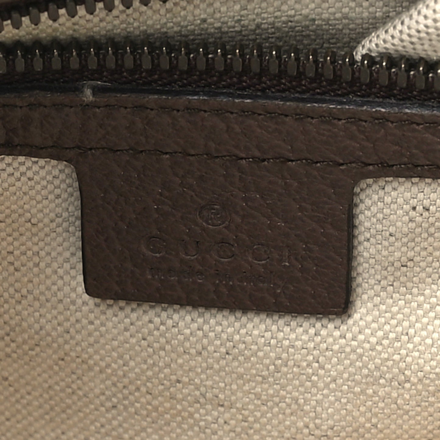 GG Supreme Monogram Web Small Ophidia Half Moon Hobo Brown
