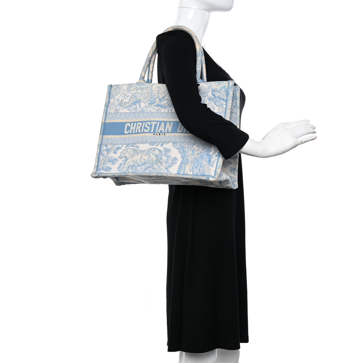 Canvas Embroidered Medium Dioriviera Toile De Jouy Book Tote Light Blue