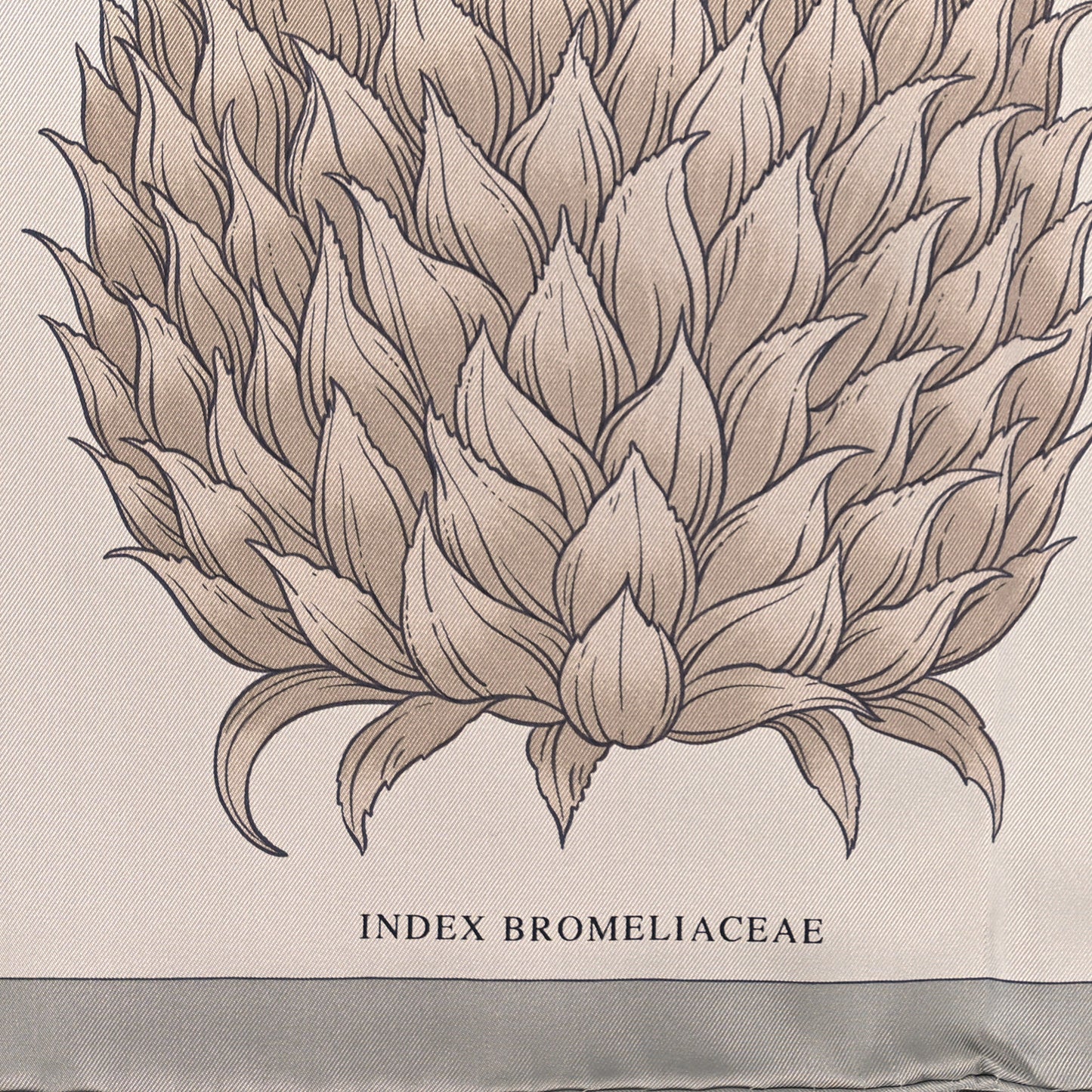Silk Index Bromeliaceae Scarf 90 Gris Argent Bleu Vert Amande