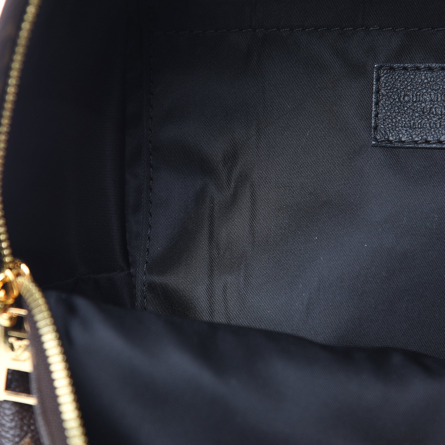Monogram Palm Springs Backpack PM