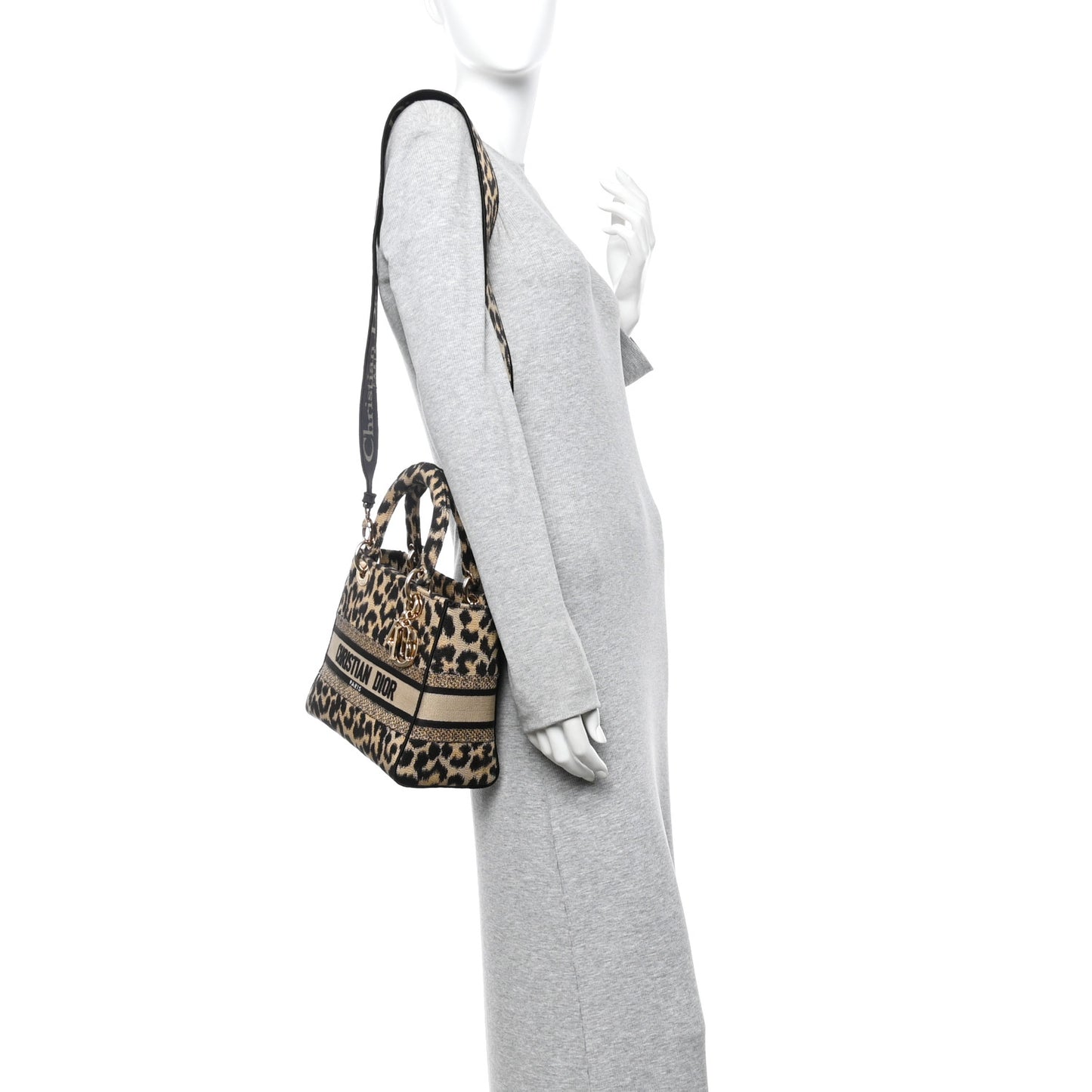 Canvas Medium Mizza Embroidered Lady D-Lite Beige Multicolor