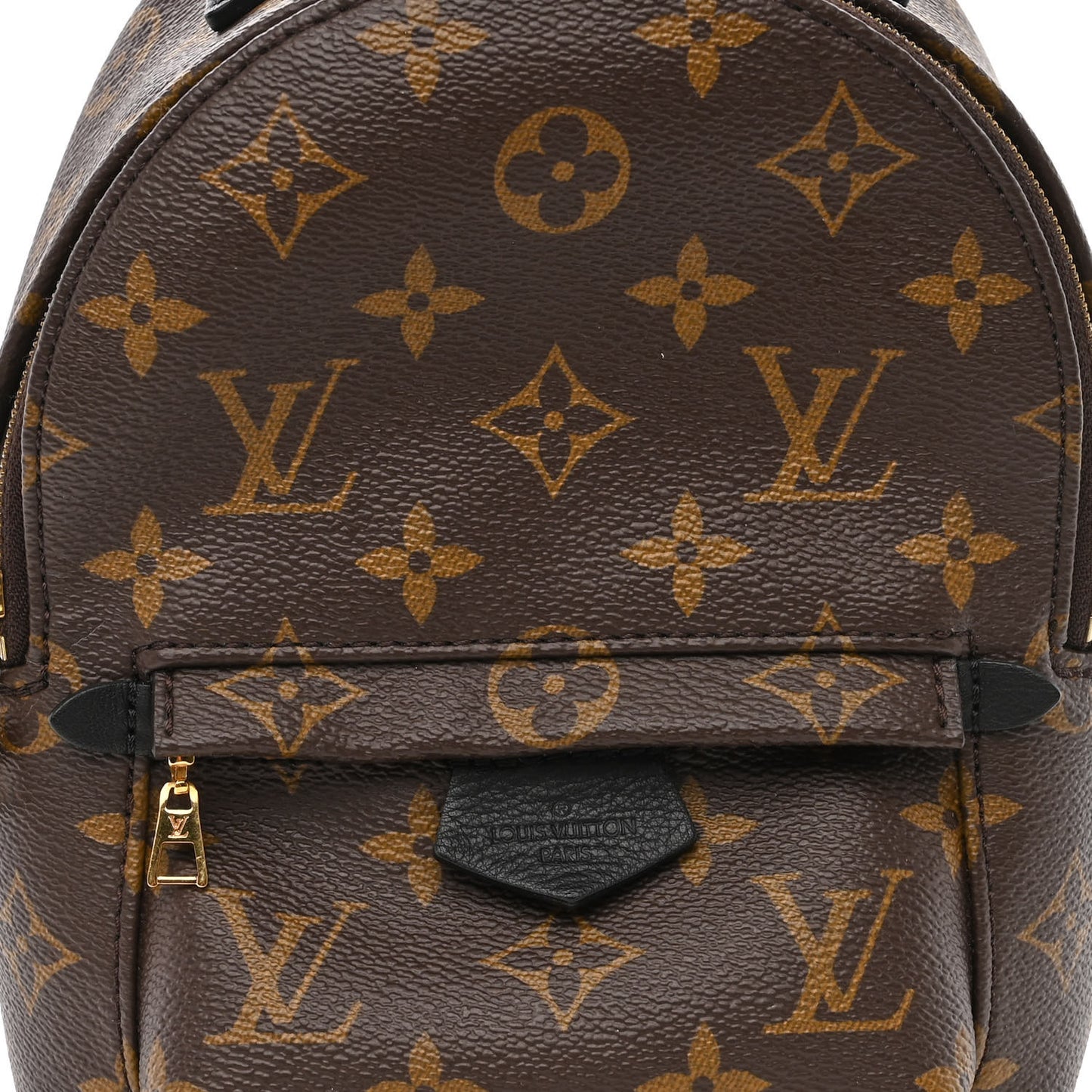 Monogram Palm Springs Backpack Mini