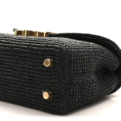 Celine Raffia Calfskin Teen Nino Black 9 of 9