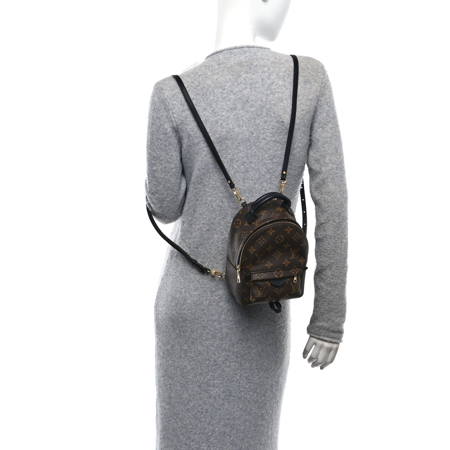 Monogram Palm Springs Backpack Mini