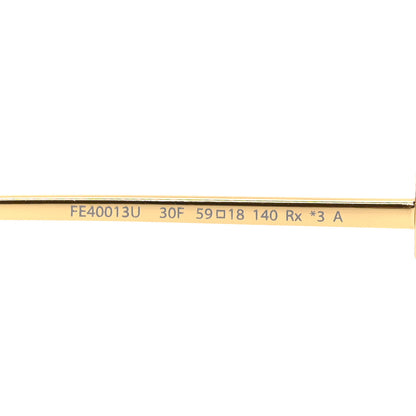 Fendi Metal Fendi Forever Sunglasses FE40013U Gold Brown 6 of 6