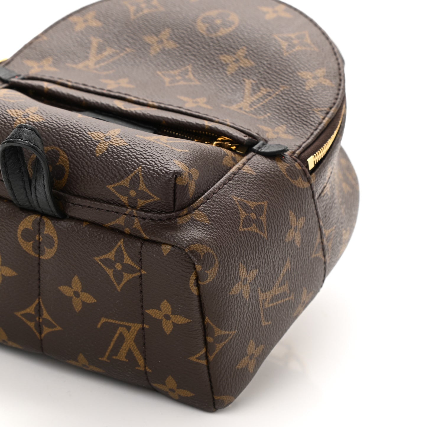 Monogram Palm Springs Backpack Mini