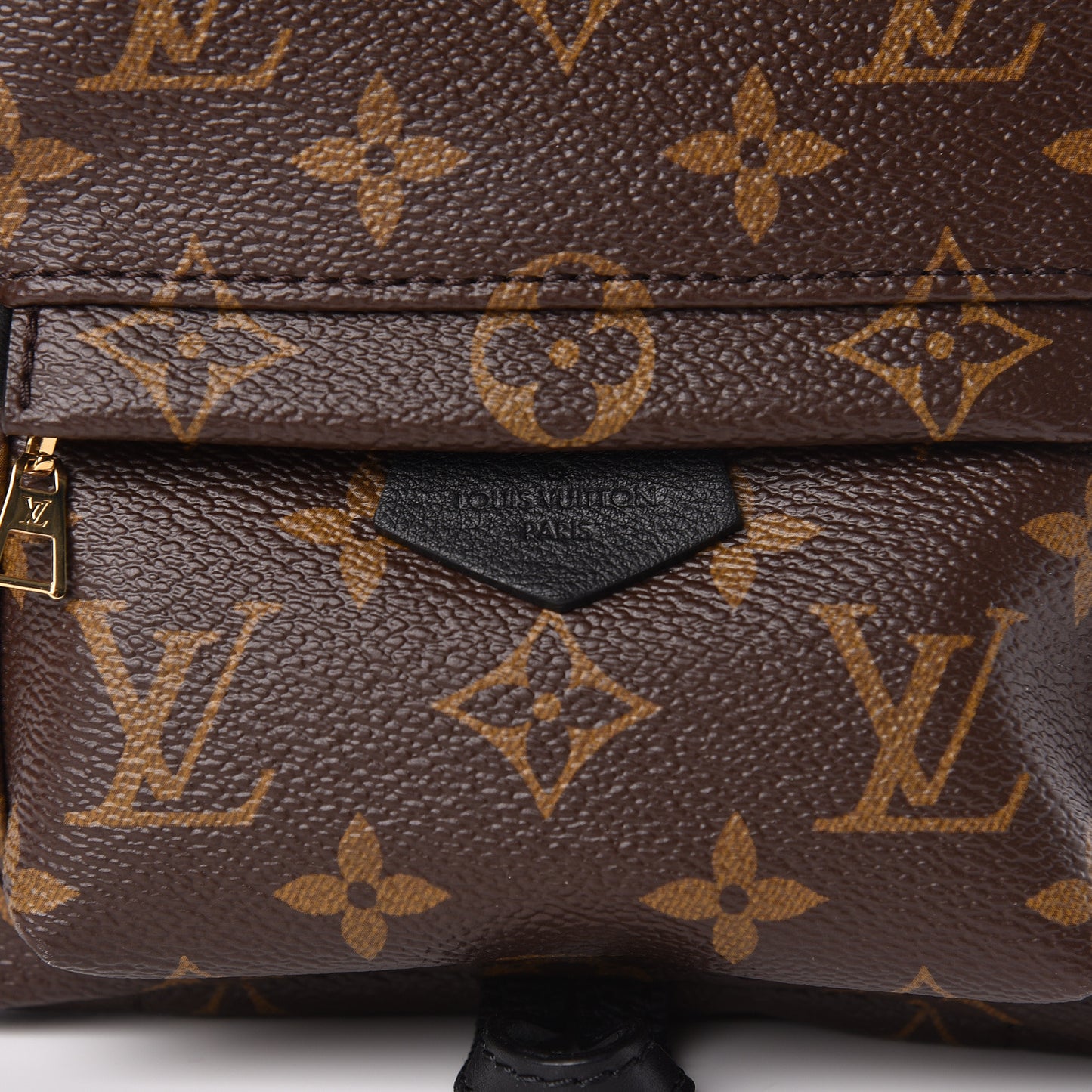 Monogram Palm Springs Backpack Mini