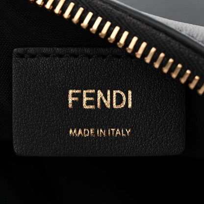 Fendi Vitello Grace Matte Small Fendigraphy Hobo Bag Black 6 of 10