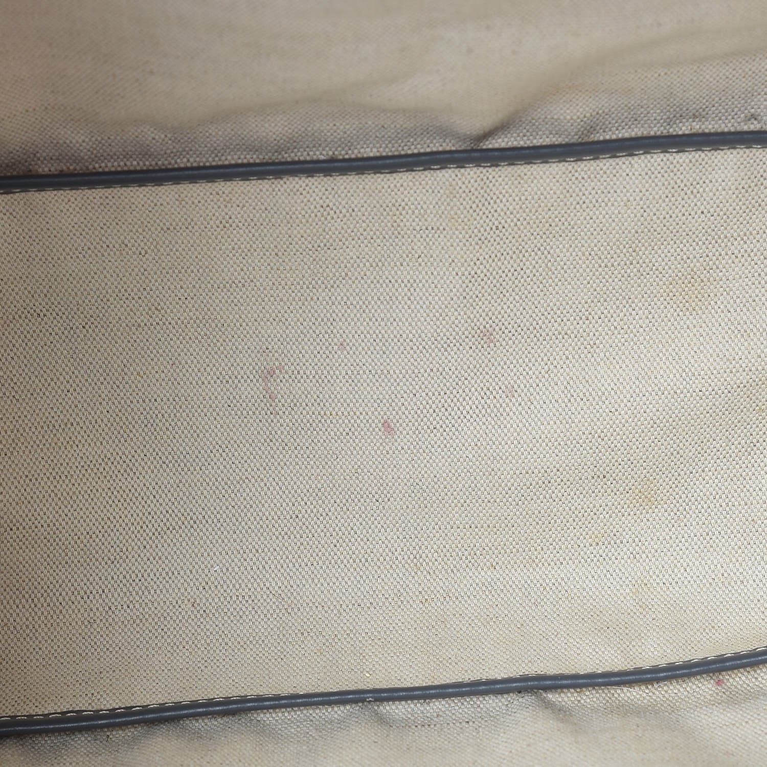 Goyard Goyardine Saint Louis PM Grey 10 of 17