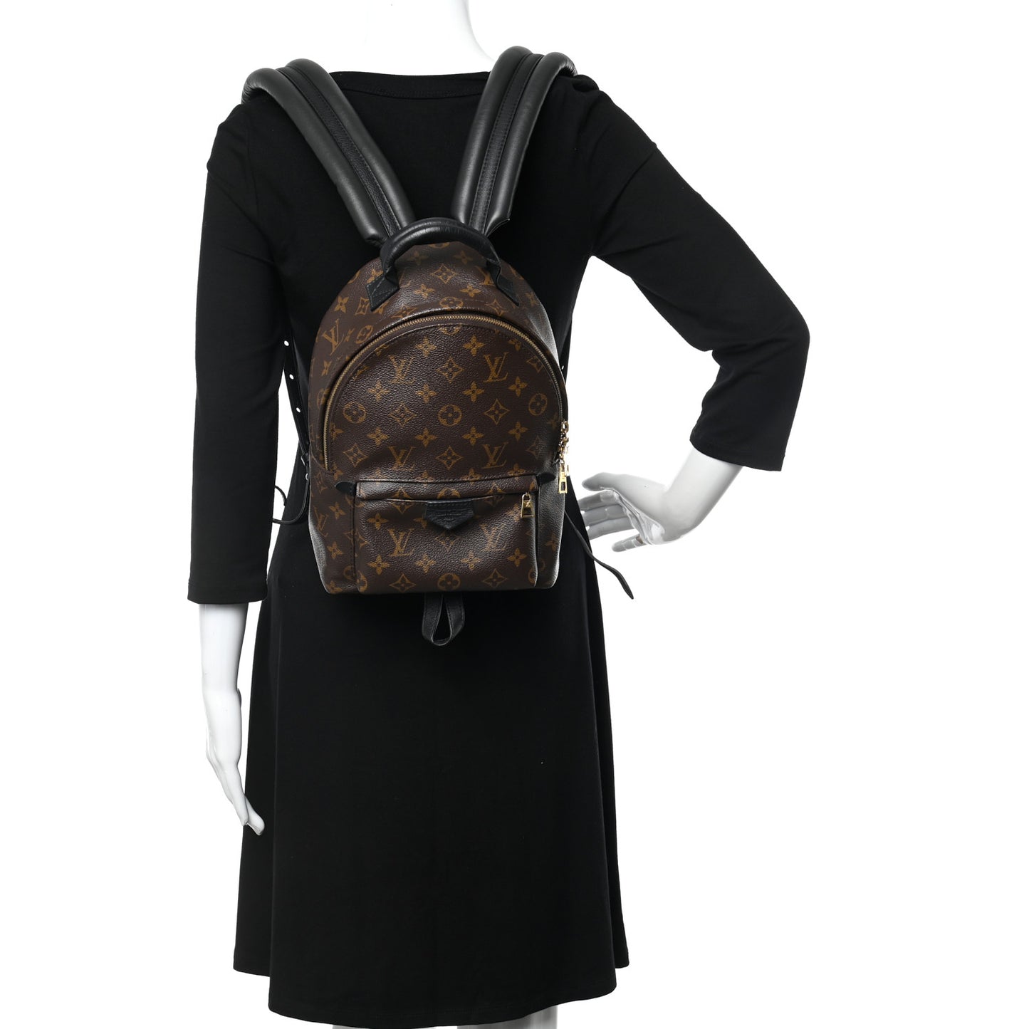 LOUIS VUITTON Monogram Palm Springs Backpack PM