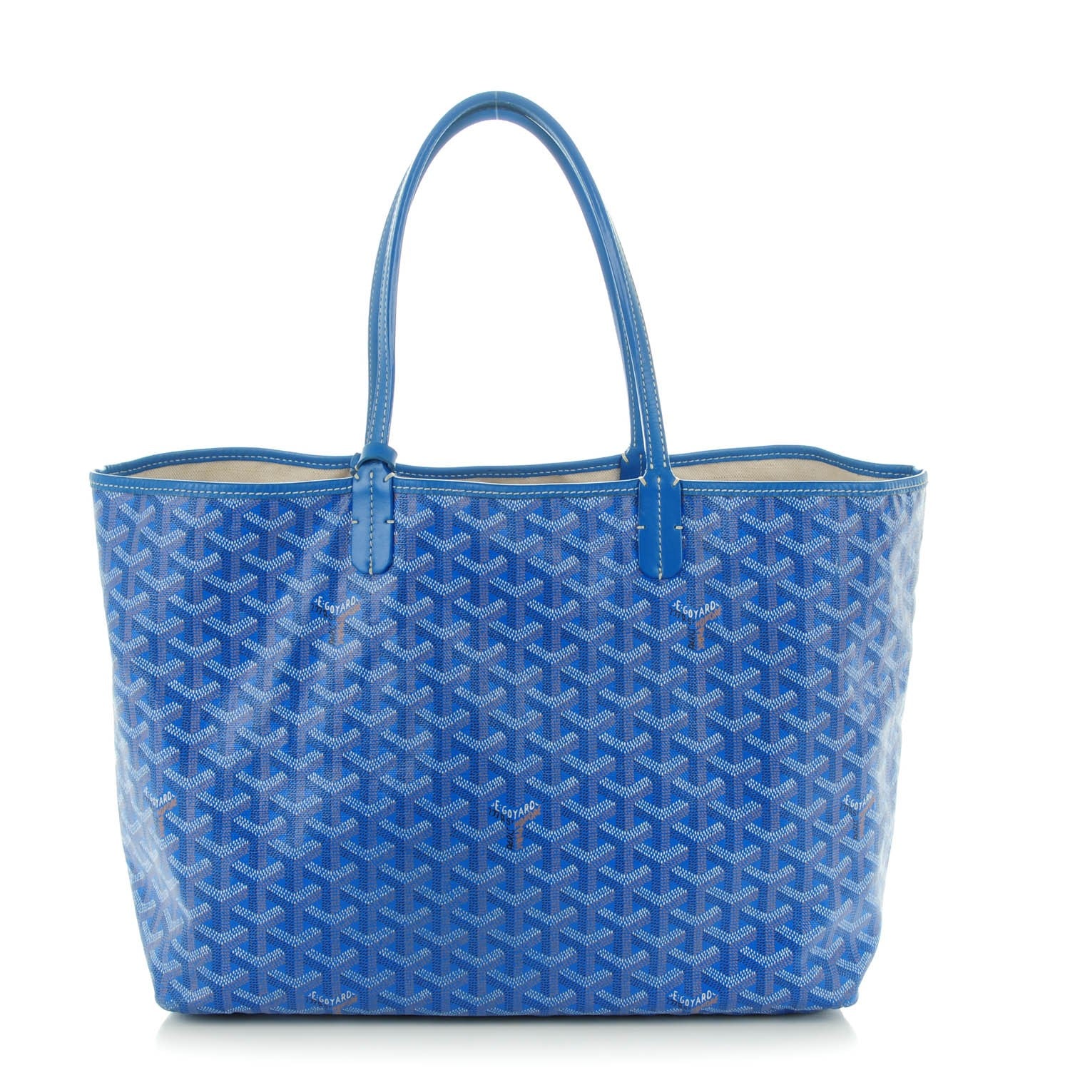 Goyard Goyardine Saint Louis PM Sky Blue 3 of 8
