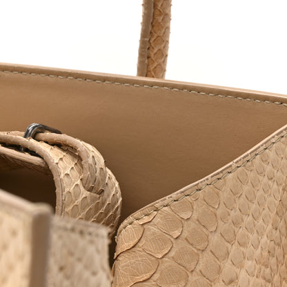 Celine Snakeskin Medium Phantom Luggage Beige 12 of 12