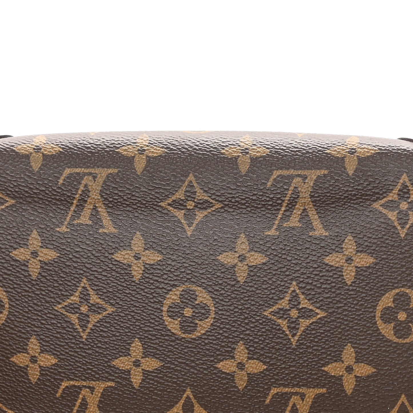 Monogram Valentine Dog Pochette Felicie Chain Wallet