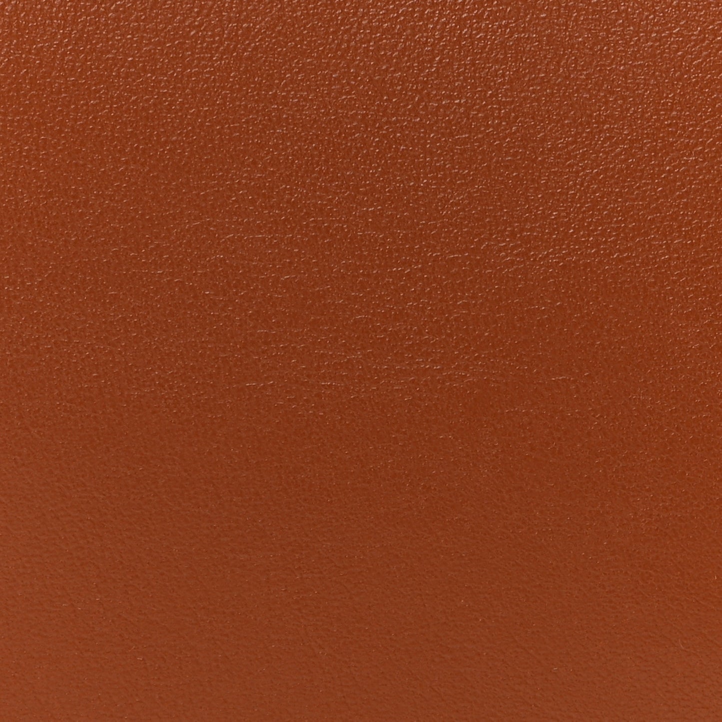 Smooth Calfskin Medium Chain Strap Ava Shoulder Bag Tan