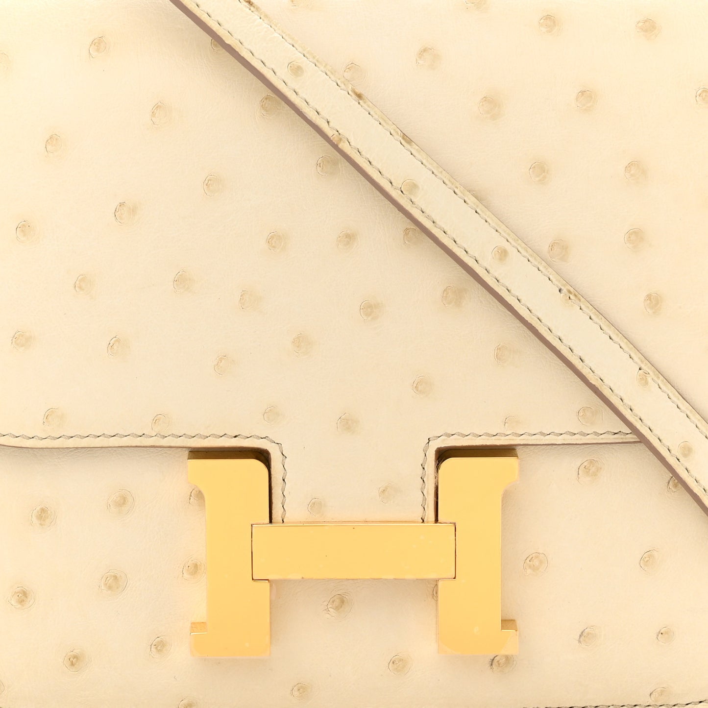 Ostrich Constance 18 Beton