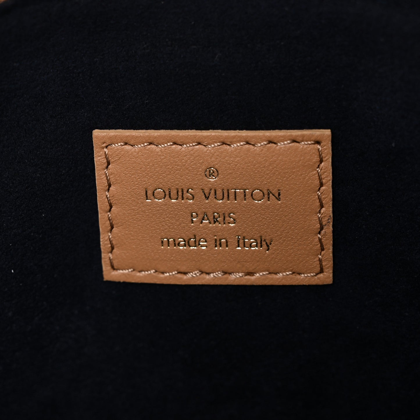 Lambskin Embossed Monogram Coussin PM Camel