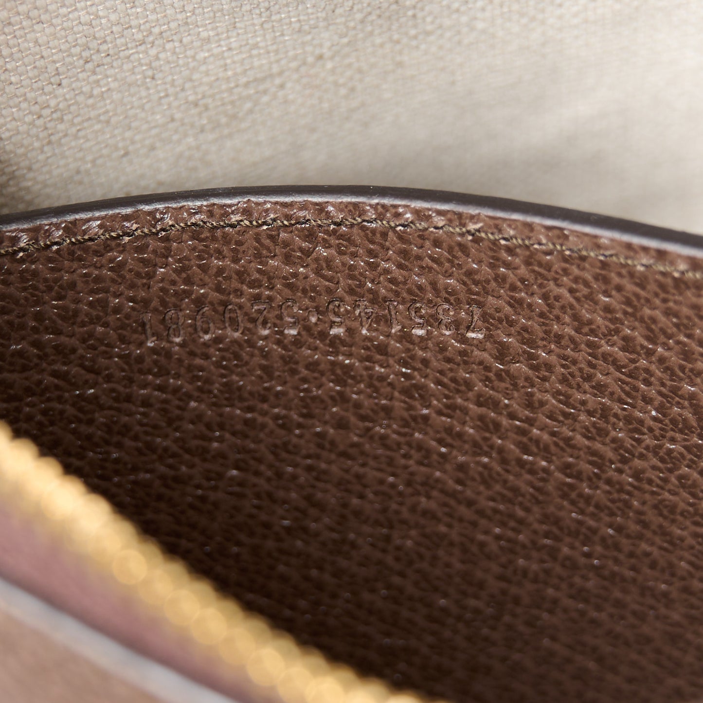 GG Supreme Monogram Textured Dollar Calfskin Small Ophidia Hobo Beige Ebony New Acero