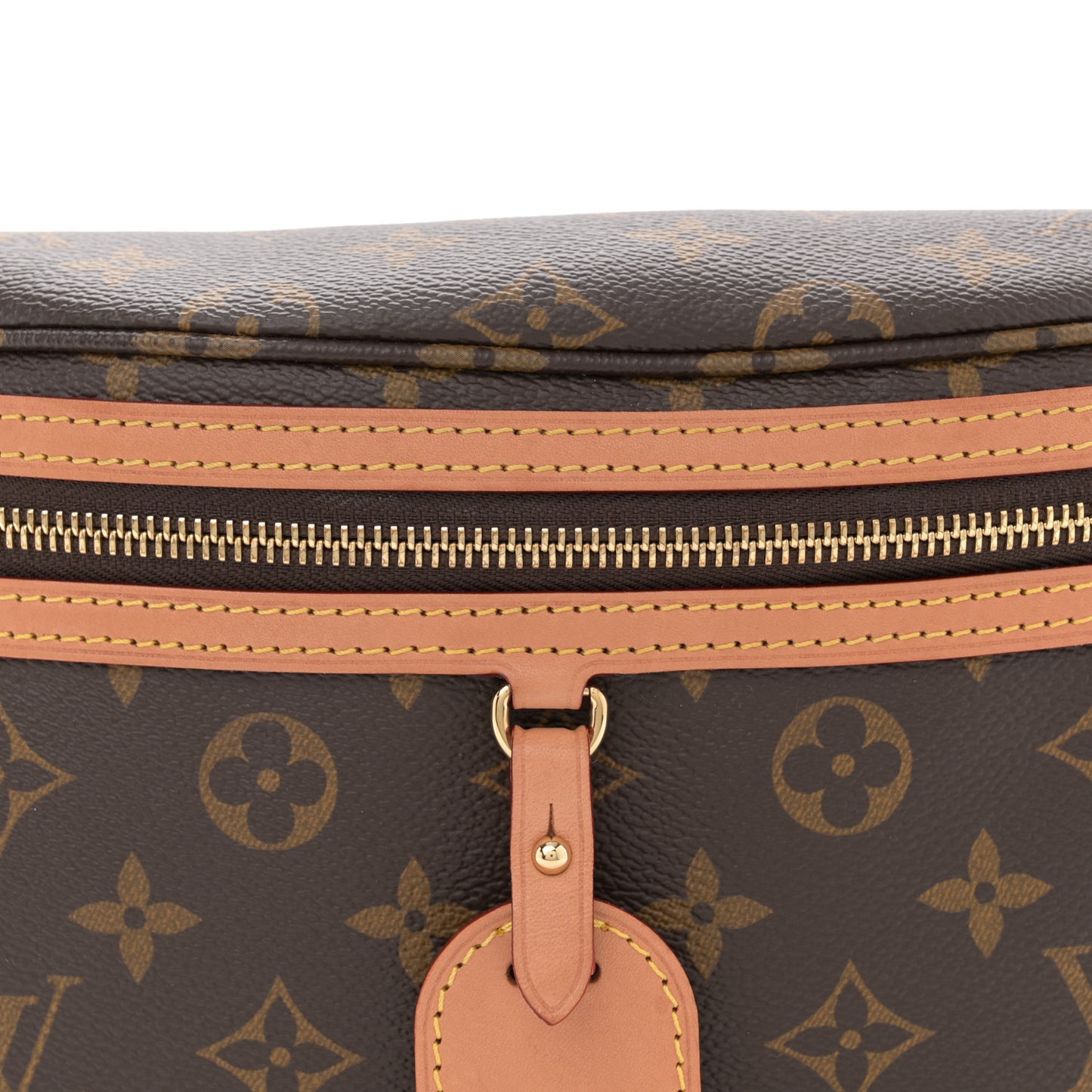 Monogram High Rise Bumbag
