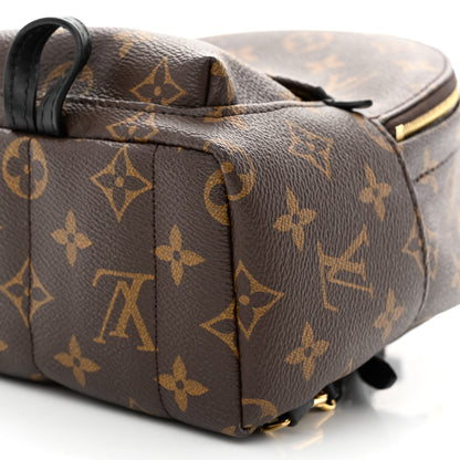 Louis Vuitton Monogram Palm Springs Backpack Mini 11 of 11
